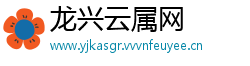 龙兴云属网